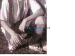 Fotos Noticias 2011
